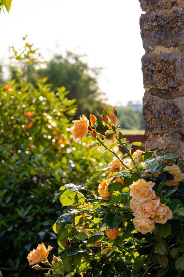 Les P'Tits Velos Bed & Breakfast Chandolas Exterior foto
