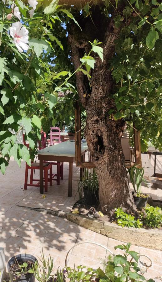 Les P'Tits Velos Bed & Breakfast Chandolas Exterior foto
