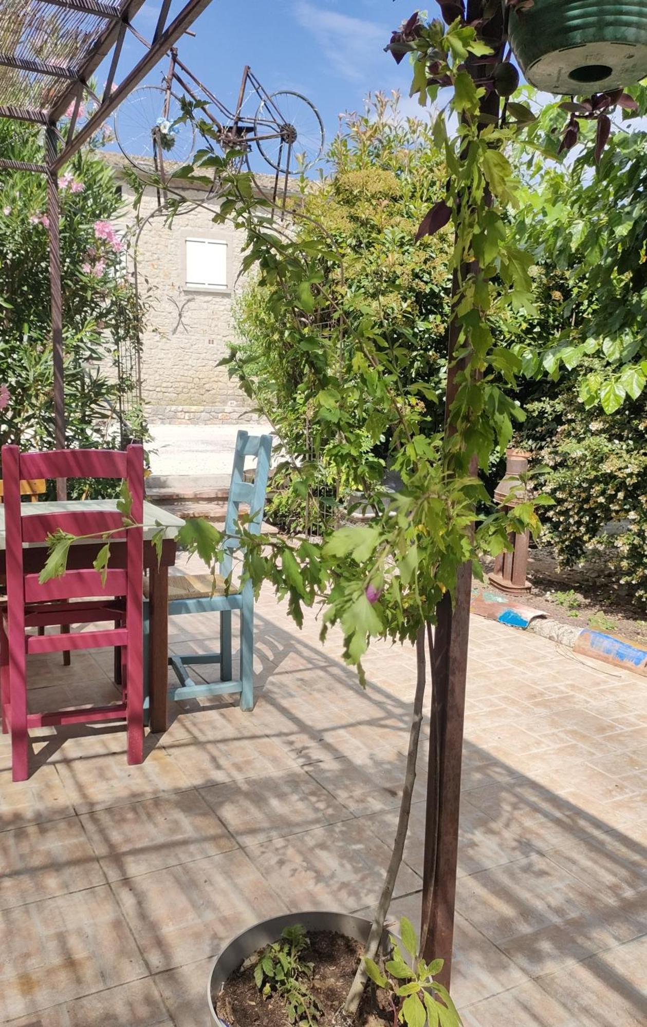 Les P'Tits Velos Bed & Breakfast Chandolas Exterior foto