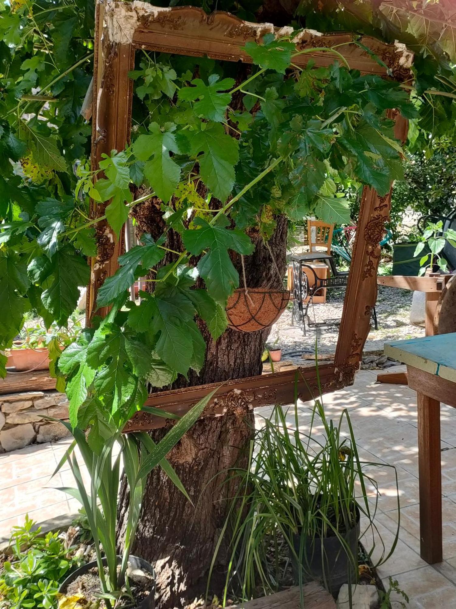 Les P'Tits Velos Bed & Breakfast Chandolas Exterior foto